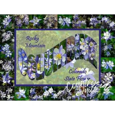 Columbine Large Letter Panel 34in x 26in
