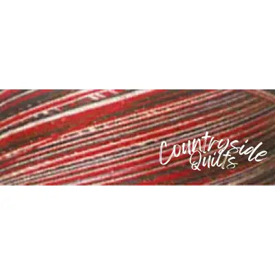 Cotton Quilting Thread 3-ply 40wt 3000yds Variegated Holiday