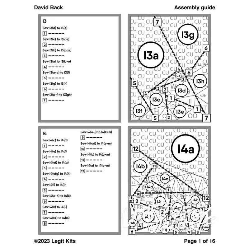 David Back Quilt Kit QK057