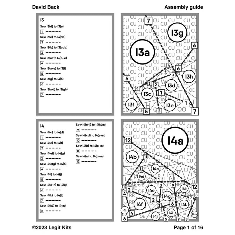 David Back Quilt Kit QK057