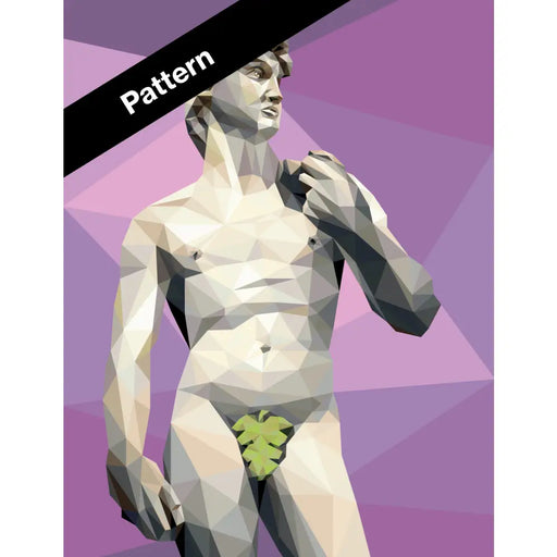 David Front Pattern PT056