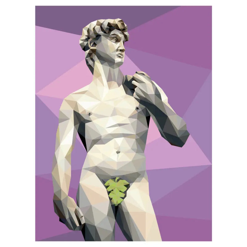 David Front Pattern PT056