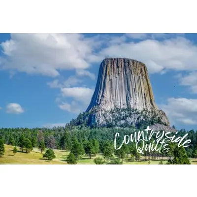 Devils Tower Panel 22in x 14.5in