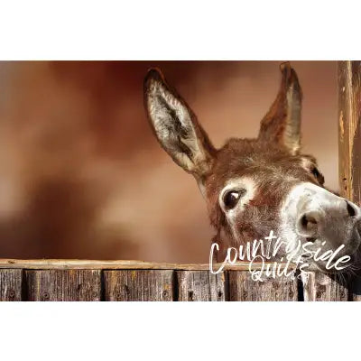 Donkey at the Gate Panel 20in x 13in