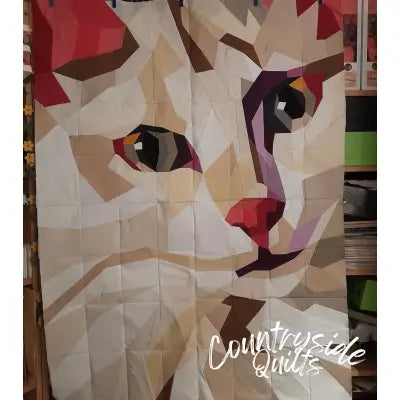 Drum the Cat Pattern