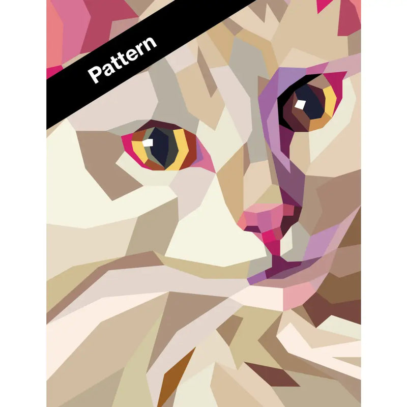 Drum the Cat Pattern PT013