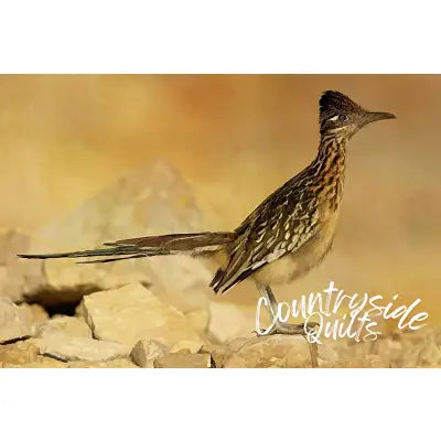 Eastbound Roadrunner Panel 18in x 12in