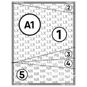 Easy Rider Pattern PT022
