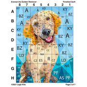 Everest the Retriever Pattern PT018