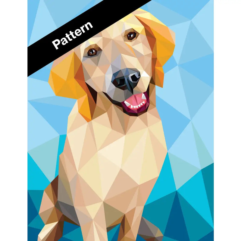 Everest the Retriever Pattern PT018