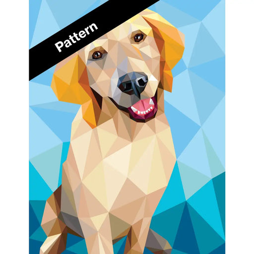 Everest the Retriever Pattern PT018