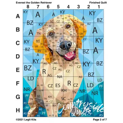 Everest the Retriever Pattern