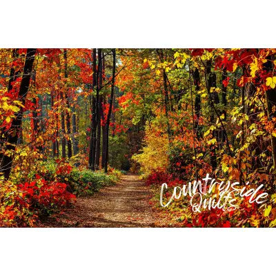 Fall Path Panel 20in x 13in