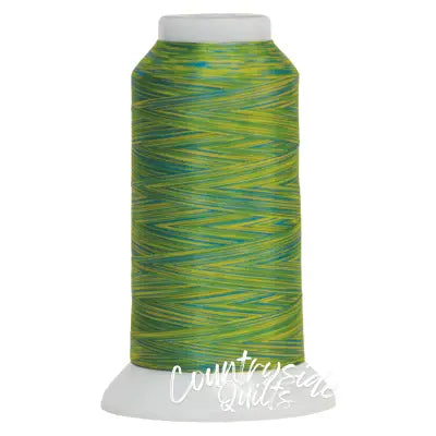 Fantastico Variegated Trilobal Polyester 2000yd Aloha