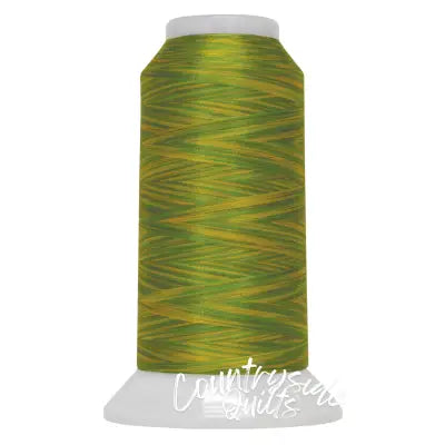 Fantastico Variegated Trilobal Polyester 2000yd Citrus Grove