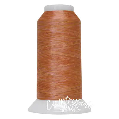 Fantastico Variegated Trilobal Polyester 2000yd Creamsicle
