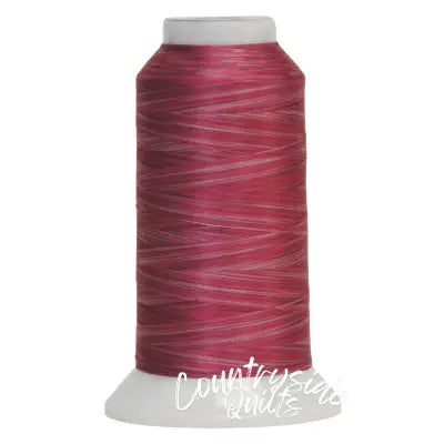 Fantastico Variegated Trilobal Polyester 2000yd Giggles