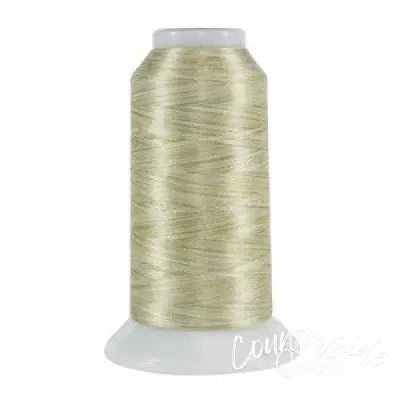 Fantastico Variegated Trilobal Polyester 2000yd Kettle Corn