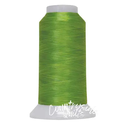 Fantastico Variegated Trilobal Polyester 2000yd Lime Light