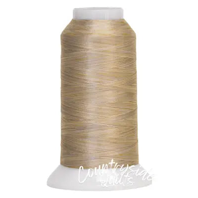 Fantastico Variegated Trilobal Polyester 2000yd Marble