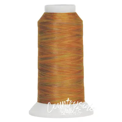 Fantastico Variegated Trilobal Polyester 2000yd October