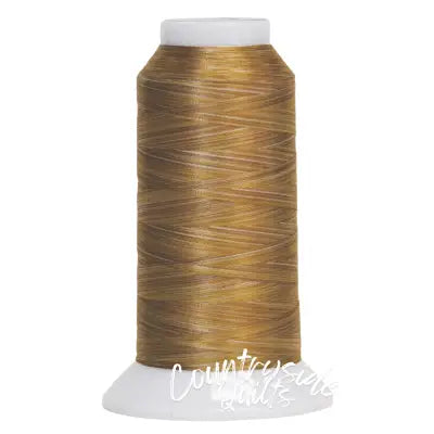 Fantastico Variegated Trilobal Polyester 2000yd Pancake