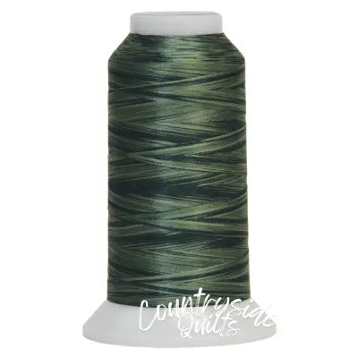 Fantastico Variegated Trilobal Polyester 2000yd Pine Valley