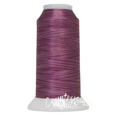 Fantastico Variegated Trilobal Polyester 2000yd Romance