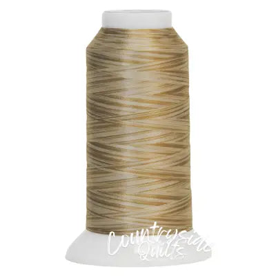 Fantastico Variegated Trilobal Polyester 2000yd Shades Of Vanilla