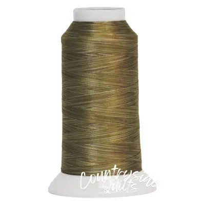 Fantastico Variegated Trilobal Polyester 2000yd Spice Cake