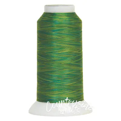 Fantastico Variegated Trilobal Polyester 2000yd Wales