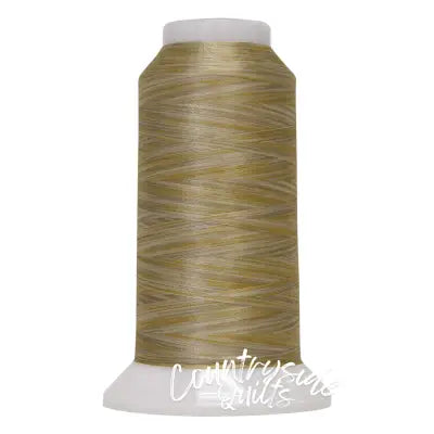 Fantastico Variegated Trilobal Polyester 2000yd Wisp