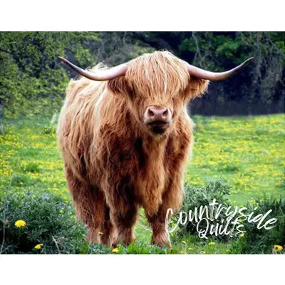 Highland Cow in Dandilions Panel 20in x 16in