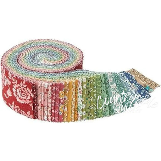 Home Town 2 1/2’’ Rolie Polie 855208