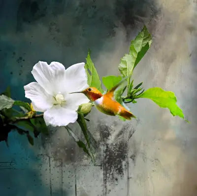 Hummingbird Abstract Background 20x20in Panel