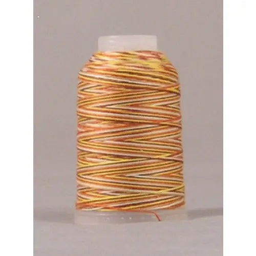 Jeans Stitch #3VA - Earthtone Variegated Mini Cone Thread