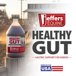 Jeffers Healthy Gut Gastric Support Liquid Supplement for Horses