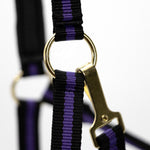 Jeffers Padded Nylon Horse Halter with Throat Snap