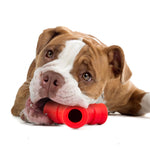 Jeffers Red "Y" Natural Rubber Dental Dog Chew Toy for Medium Chewers