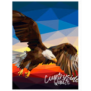 Land of the Free Quilt Kit QK020