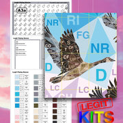 Legit Flying Geese Quilt Kit QK010