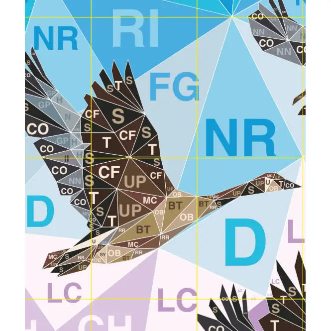 Legit Flying Geese Quilt Kit QK010
