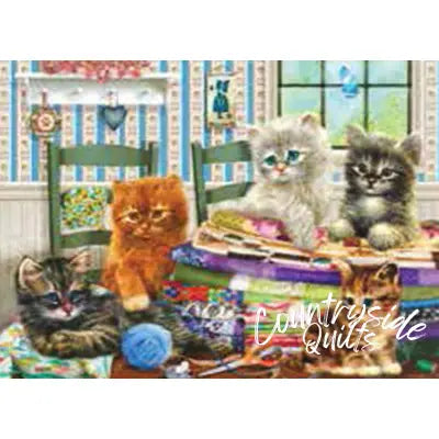 Lets Get Started 500pc