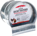 Little Giant Bucket Poultry Waterer, 1 Gallon