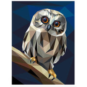 Little Hooter Pattern PT044