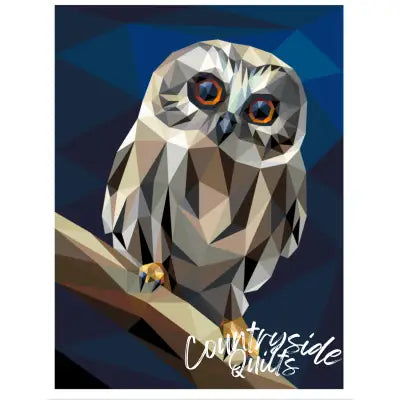 Little Hooter Quilt Kit