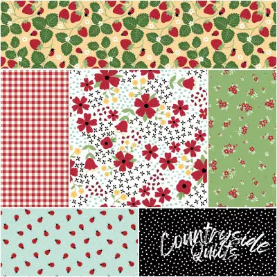 Little Ladybug 1 Yard Bundle White, 6 Pcs.