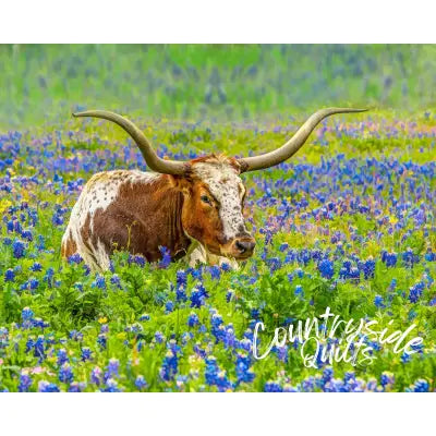 Longhorn in Bluebonnets Panel 20in x 16in