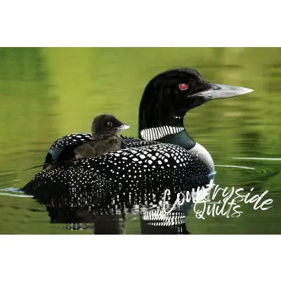 Loon Love Panel 24in x 14in