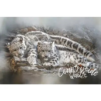 Lounging Snow Leopard Twins Panel 24in x 16in
